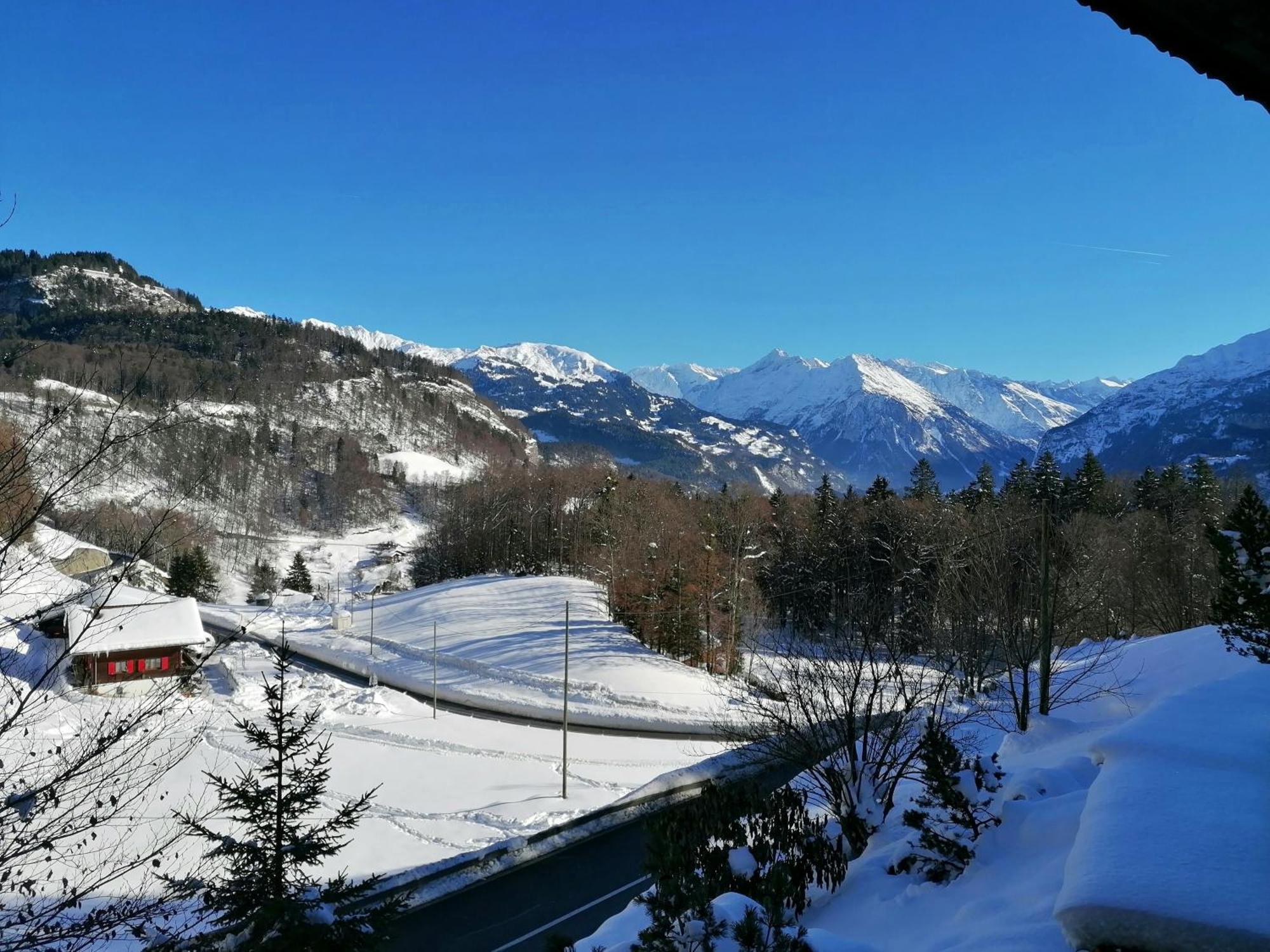 Gemuetliche Fewo Mit Sauna Inmitten Der Berge Meiringen Eksteriør bilde