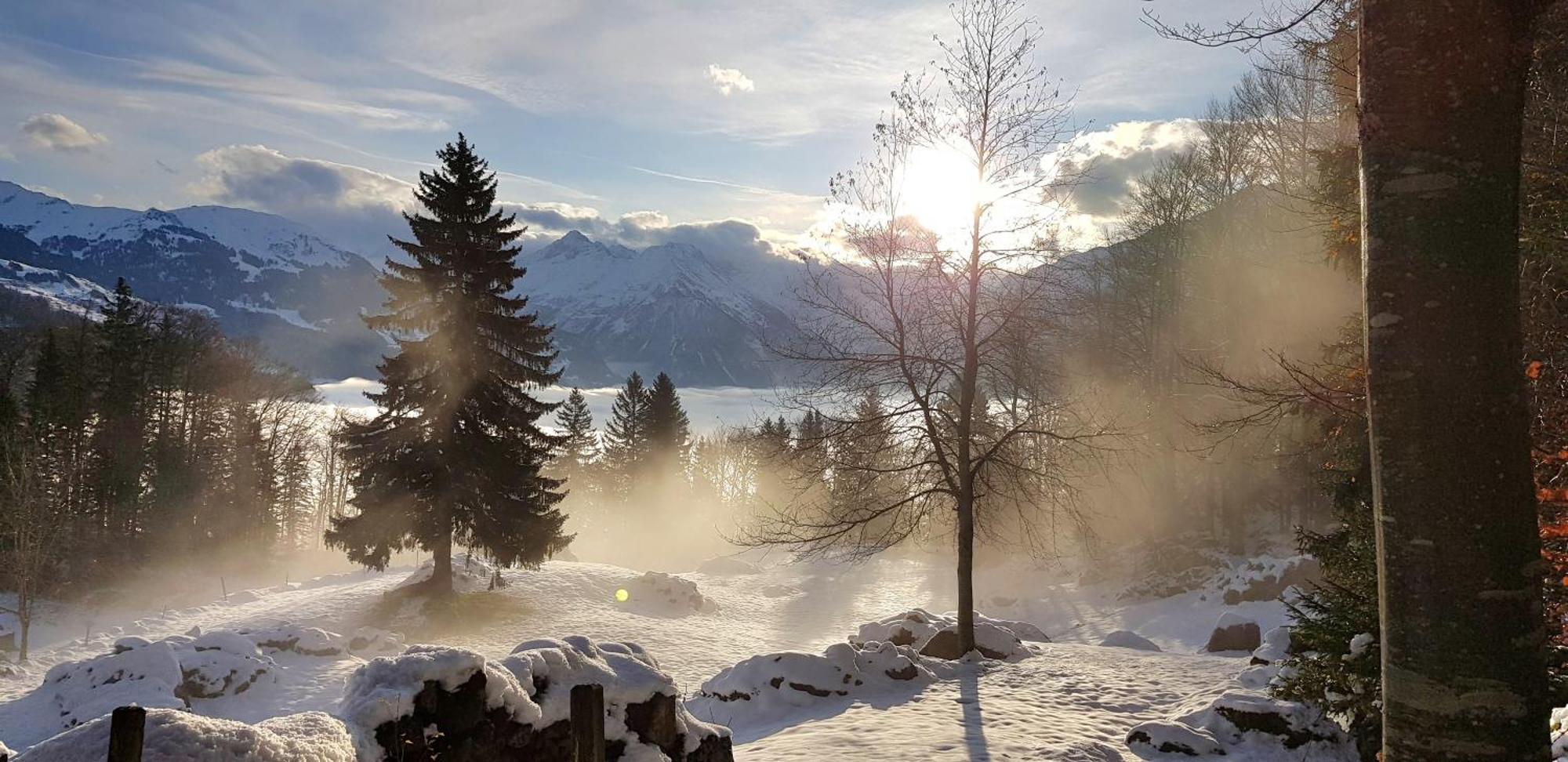 Gemuetliche Fewo Mit Sauna Inmitten Der Berge Meiringen Eksteriør bilde