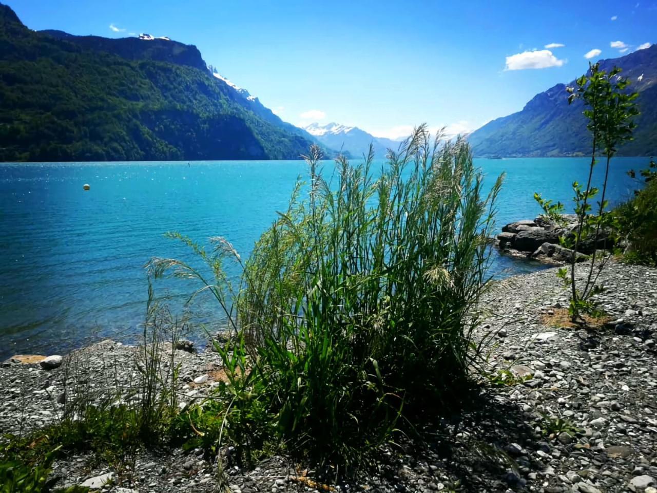 Gemuetliche Fewo Mit Sauna Inmitten Der Berge Meiringen Eksteriør bilde
