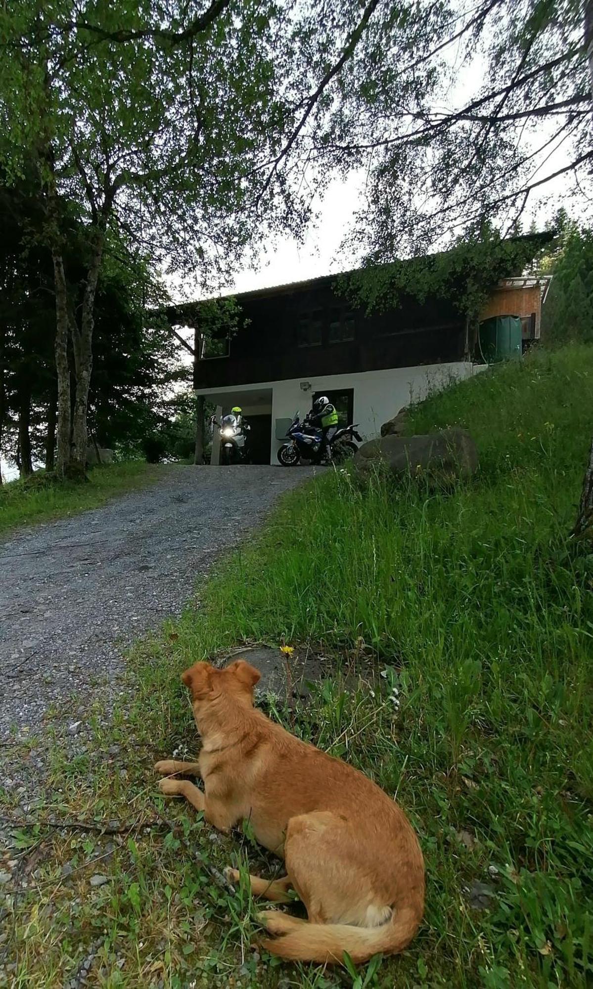 Gemuetliche Fewo Mit Sauna Inmitten Der Berge Meiringen Eksteriør bilde