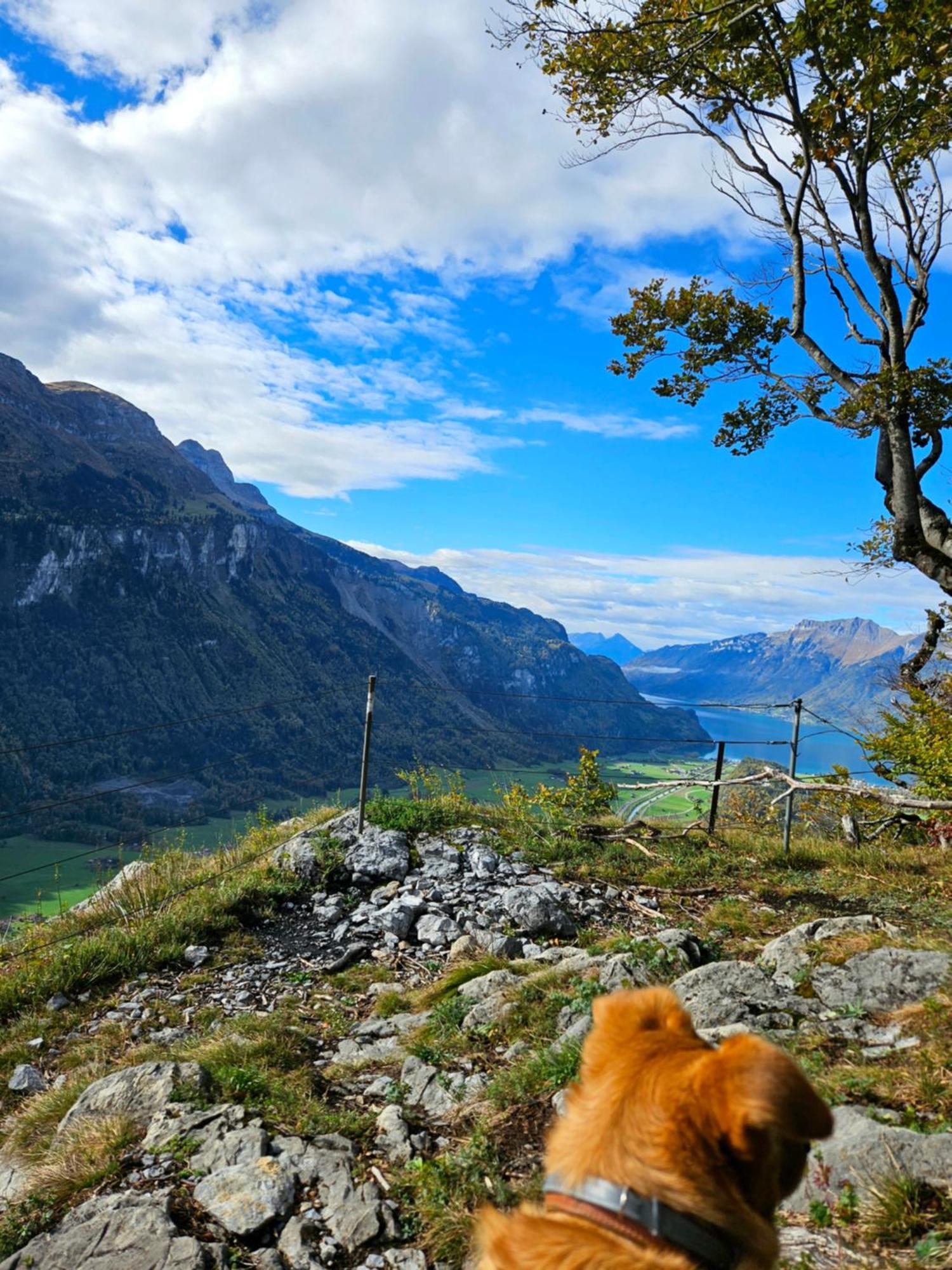 Gemuetliche Fewo Mit Sauna Inmitten Der Berge Meiringen Eksteriør bilde