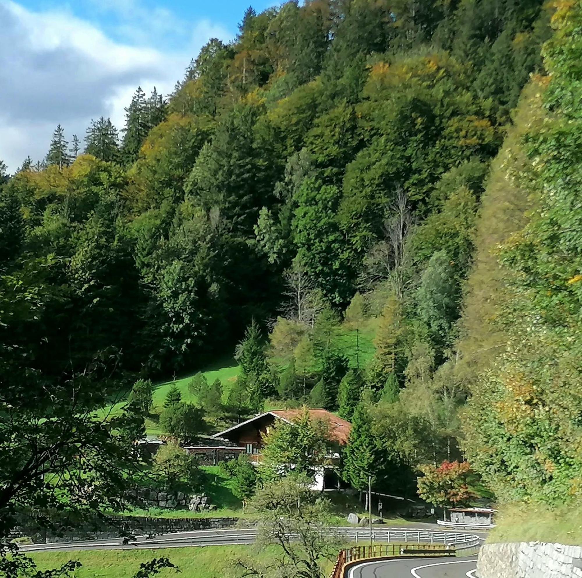 Gemuetliche Fewo Mit Sauna Inmitten Der Berge Meiringen Eksteriør bilde
